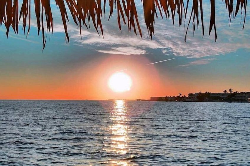 A sunset over the ocean with palm trees silhouetted against the sky. 1
