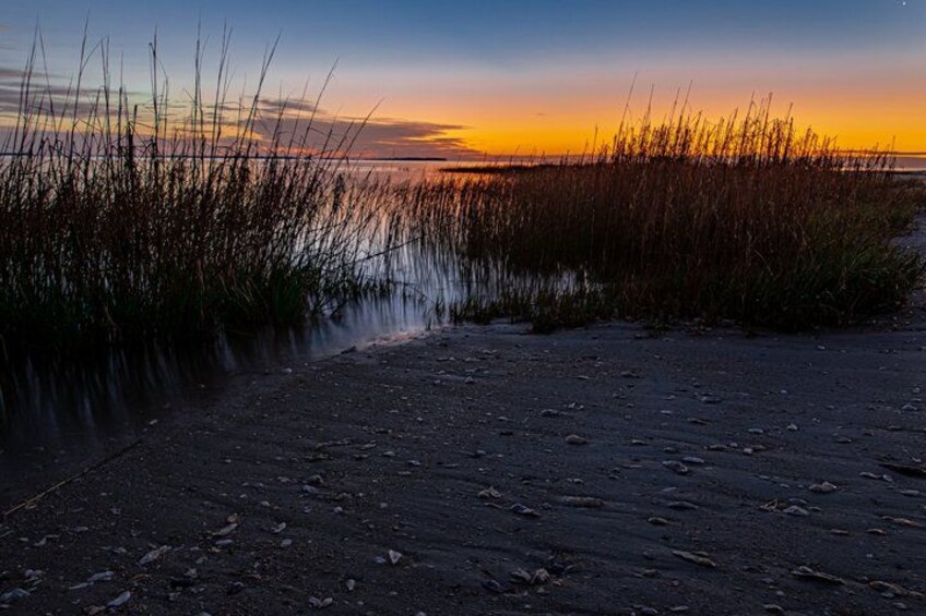 Hilton Head Outback: Small-Group Private Tour 2