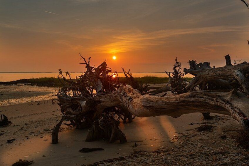 Hilton Head Outback: Small-Group Private Tour 1