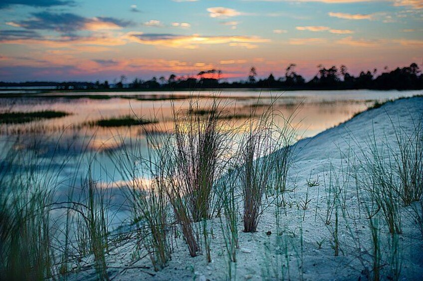 Hilton Head Outback: Small-Group Private Tour 3