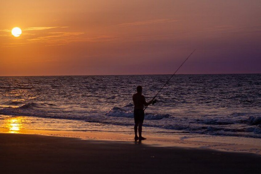 Hilton Head Outback: Small-Group Private Tour 4
