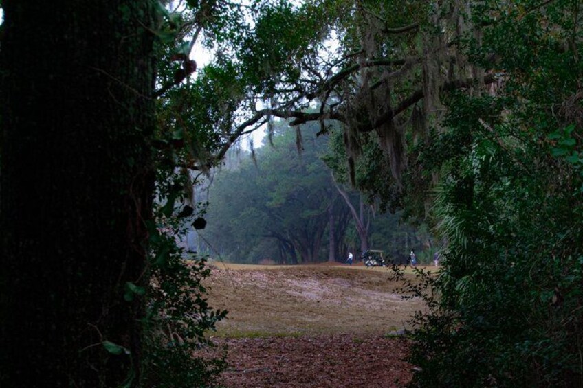 Hilton Head Outback: Small-Group Private Tour 3