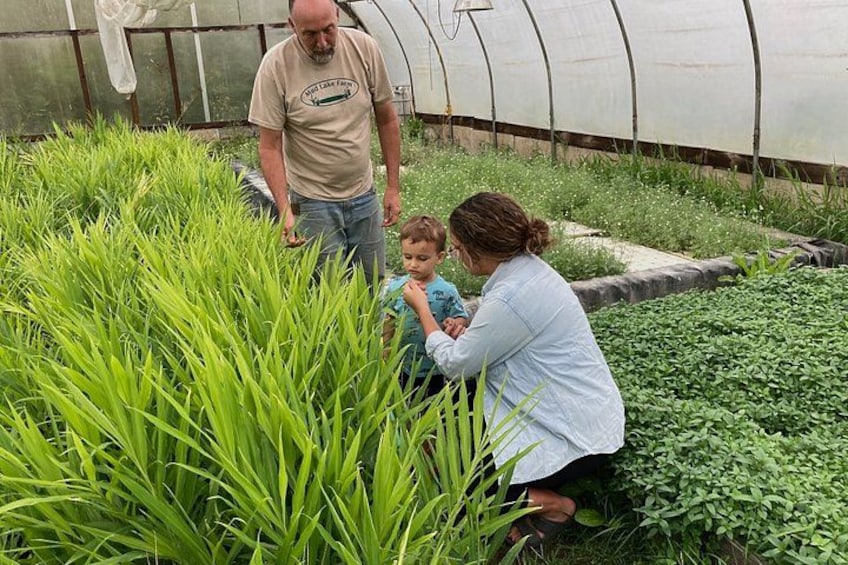 A greenhouse with tall plants, a person in a lab coat, and another person standing. 3