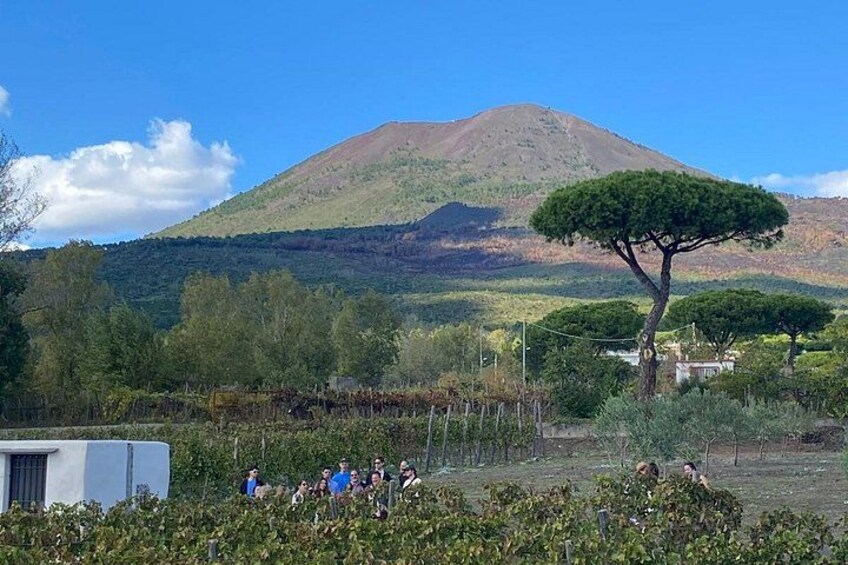 Un paysage montagneux, avec un ciel dégagé, un arbre imposant et un groupe de personnes au premier plan. 4