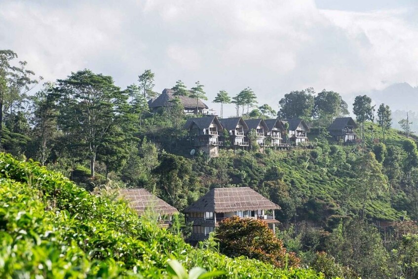 A hillside with multiple thatched-roof houses. 2