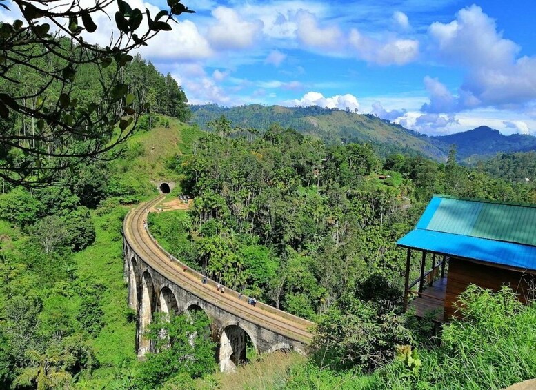 A railway bridge curving through a lush green landscape with a small building on the right. 1