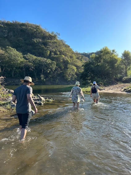 People wading through a shallow river surrounded by lush greenery. 3