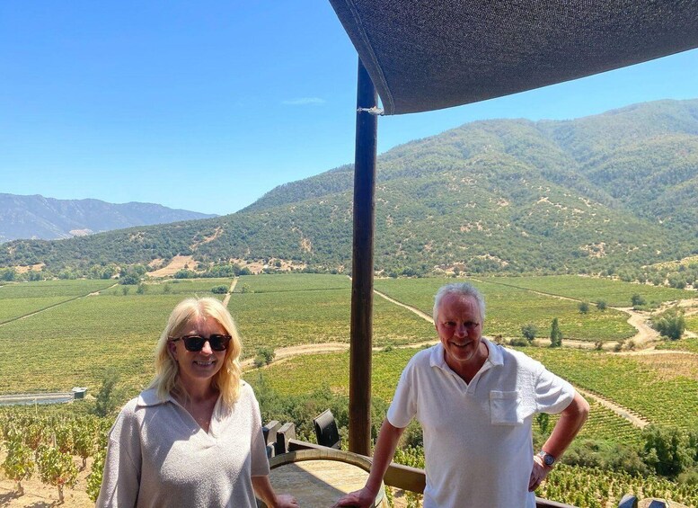 Colchagua Valley: Private Ventisquero and Viu Manent Wine Route Tour 1