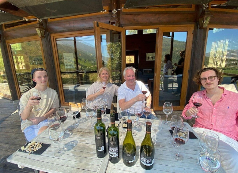 Picture 8 for Activity Colchagua Valley: Private Ventisquero and Viu Manent Wine Route Tour 3