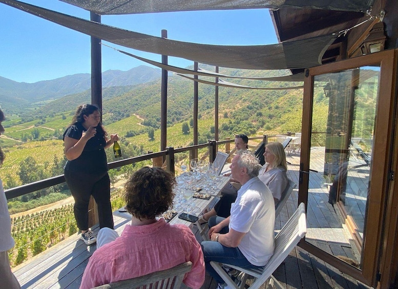 Picture 7 for Activity Colchagua Valley: Private Ventisquero and Viu Manent Wine Route Tour 5