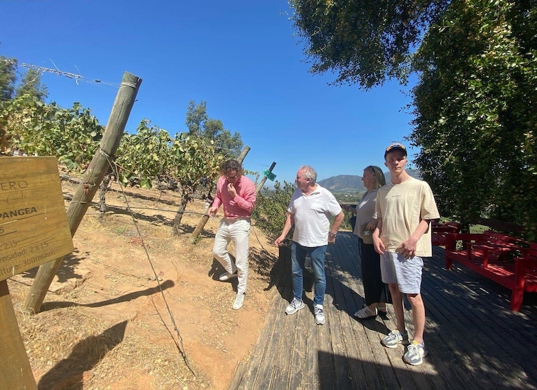 Picture 2 for Activity Colchagua Valley: Private Ventisquero and Viu Manent Wine Route Tour 2