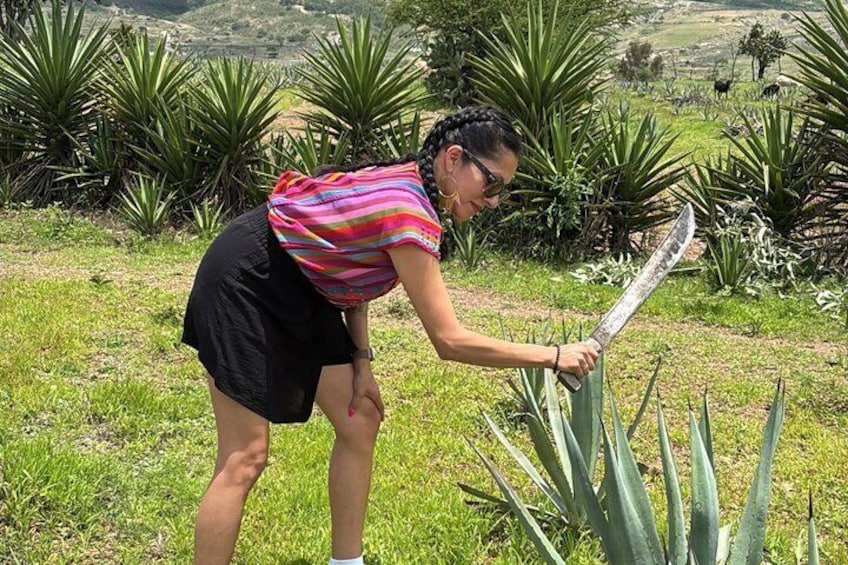 Authentic Mezcal Experience Oaxaca Small Group Local Producers 2