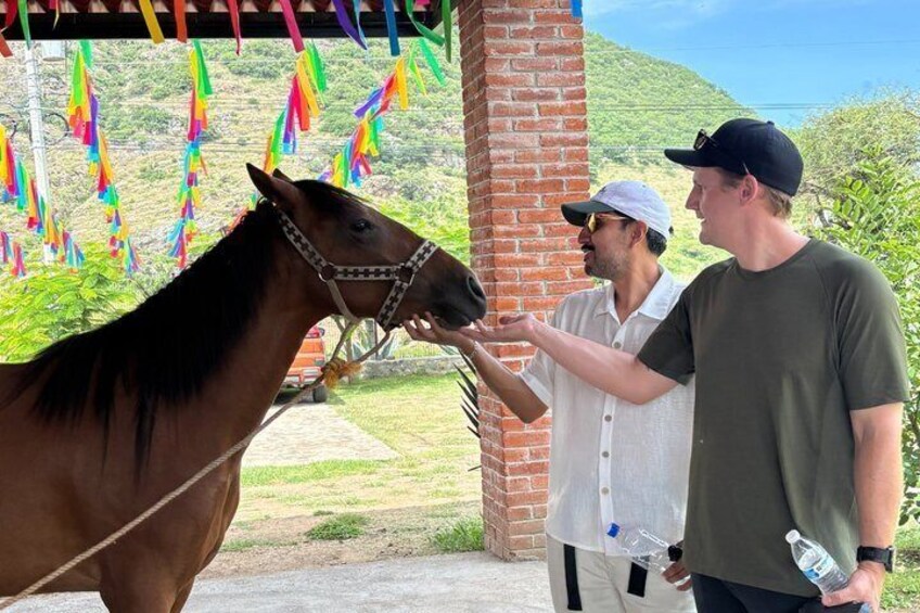 Authentic Mezcal Experience Oaxaca Small Group Local Producers 2