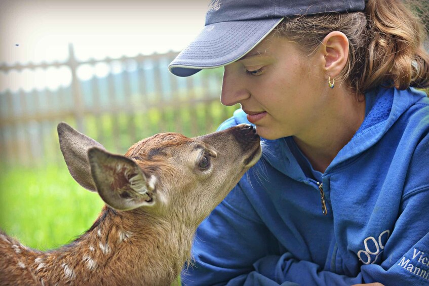 A person wearing a blue hoodie and a cap, interacting with a deer. 2