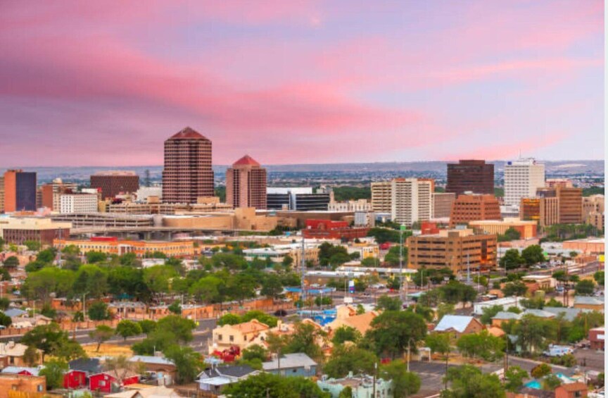 A city skyline with various buildings and a pink sky. 1