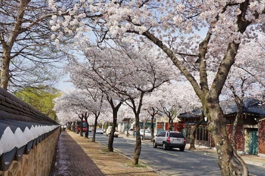 2-Day PRIVATE Gyeongju UNESCO Customized tour 4