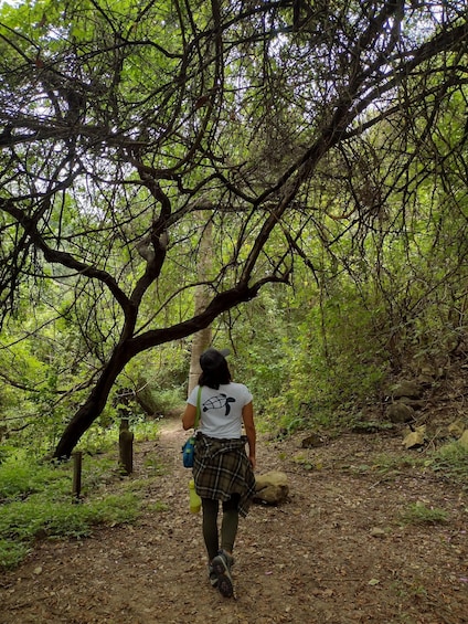 Picture 7 for Activity Private Dry Forest Walk & Guayaquil City Tour 2
