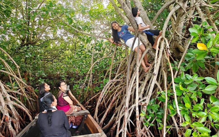 People climbing a tree with dense foliage and a wooden boat at the base. 2