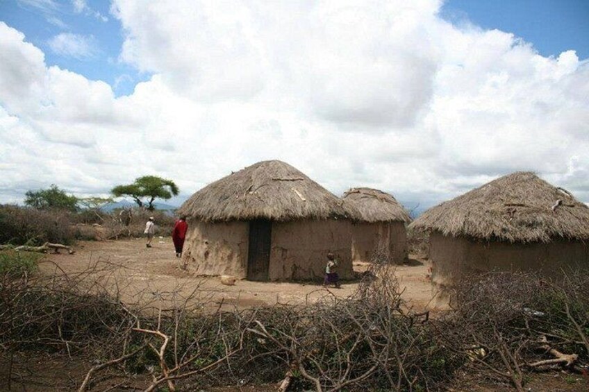 Maasai Village-Maasai Huts 4