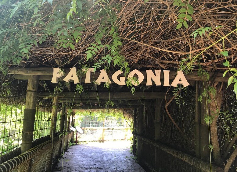 A wooden archway with the word 'PATAGONIA' hanging above a pathway surrounded by greenery. 2