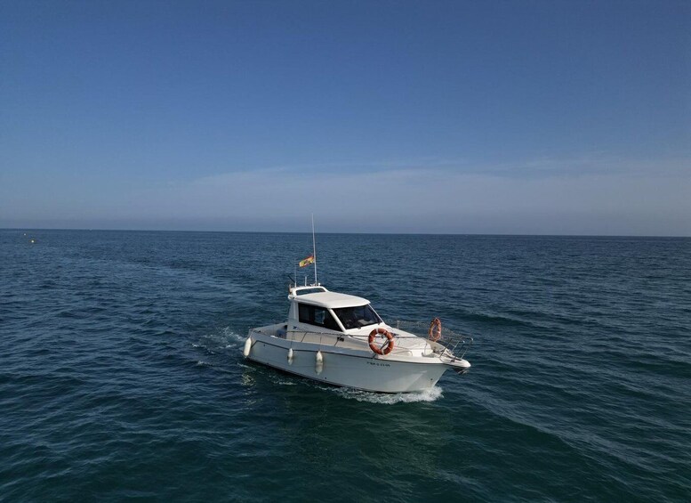 Picture 7 for Activity Private boat excursion in the Bay of Malaga capital 3