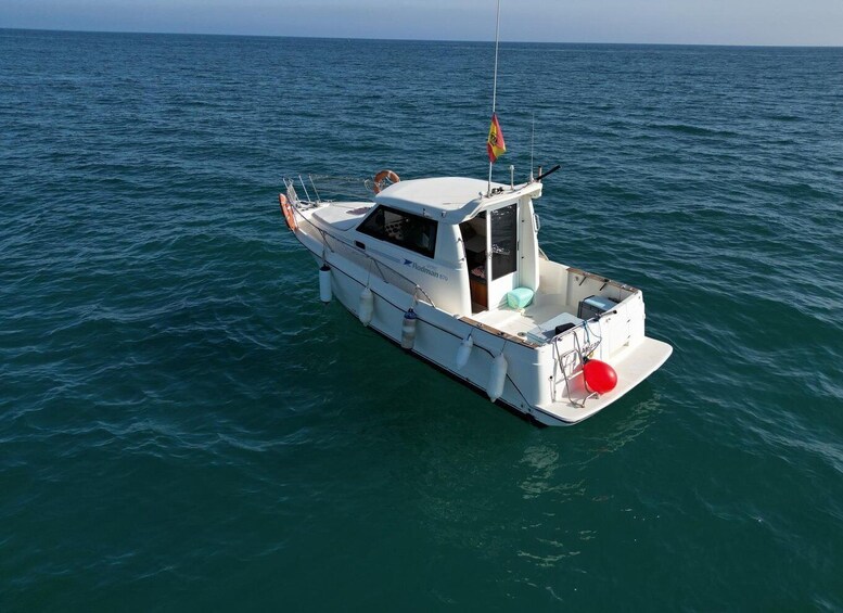 Picture 6 for Activity Private boat excursion in the Bay of Malaga capital 2
