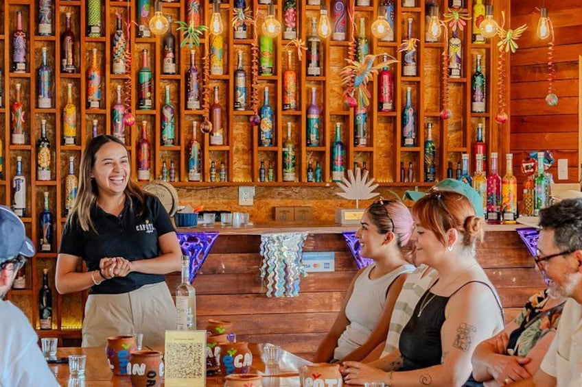 A bar with wooden shelves filled with bottles, a bar counter, and a group of people sitting and standing. 1