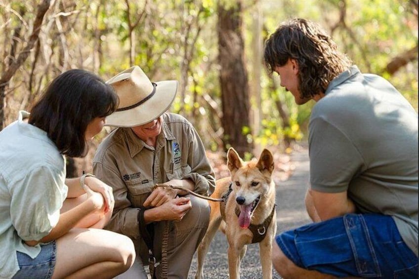 Near Darwin Territory Wildlife Park General Entry 2