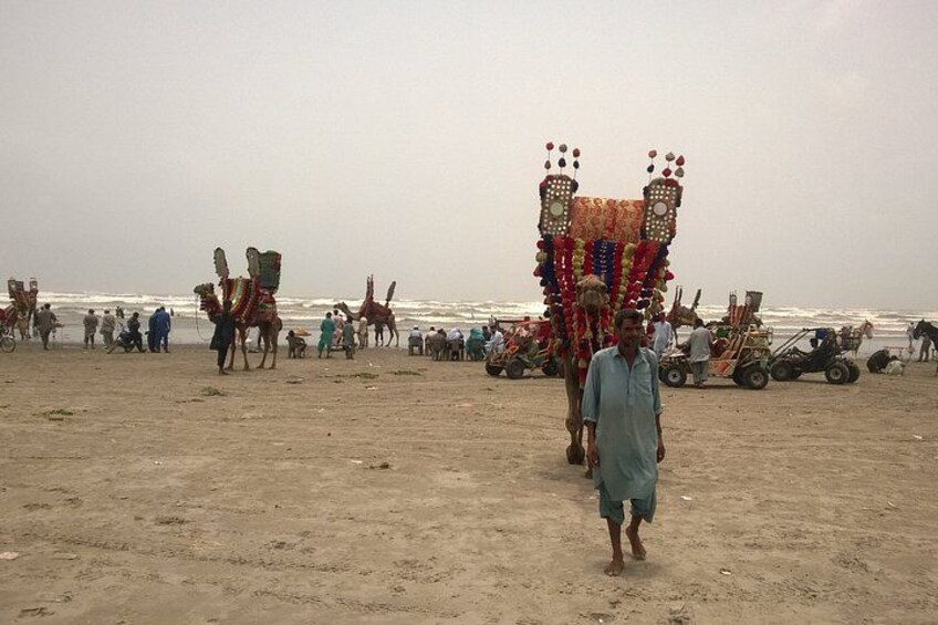 A beach with camels and a decorated carriage. 2