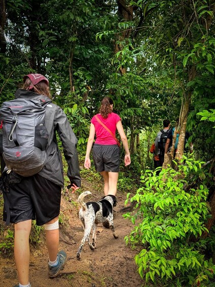 Picture 29 for Activity Chiang Mai: 2-Day Trekking, Elephant Care & Rafting 2