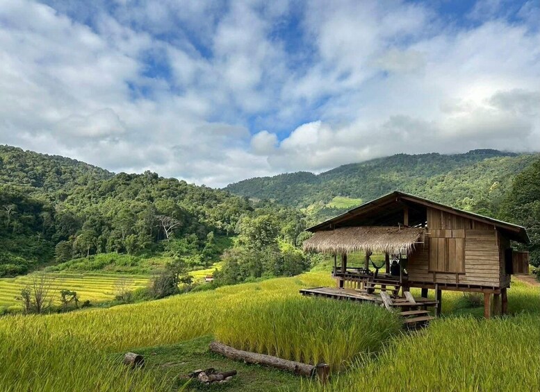 Chiang Mai: 2-Day Trekking, Elephant Care & Rafting 1