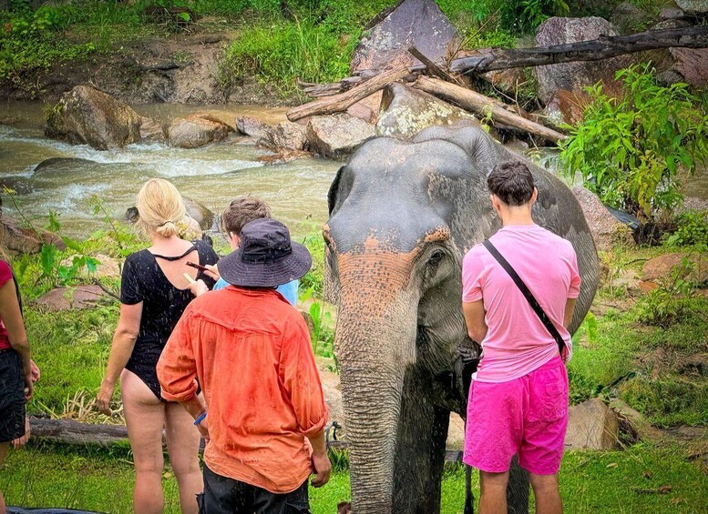 Picture 20 for Activity Chiang Mai: 2-Day Trekking, Elephant Care & Rafting 3