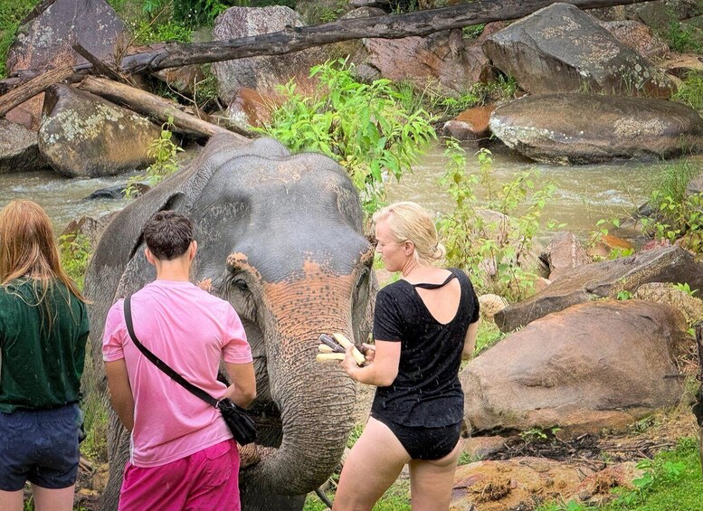 Picture 17 for Activity Chiang Mai: 2-Day Trekking, Elephant Care & Rafting 4