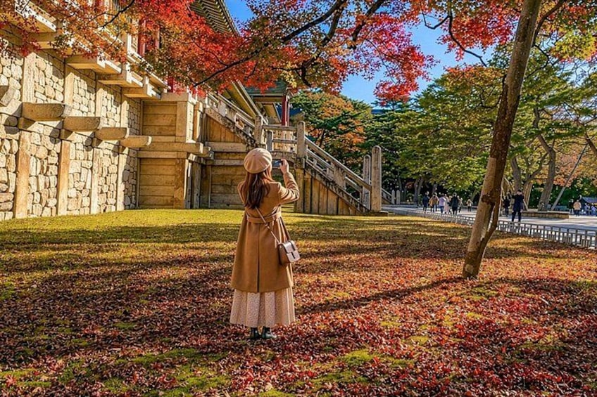 A person taking a photo with a camera, a stone building, and trees with autumn leaves. 1