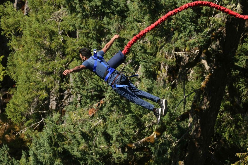 A person bungee jumping with a red bungee cord, surrounded by dense green forest. 3