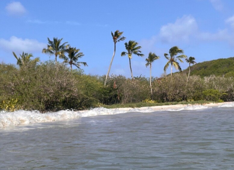 Picture 15 for Activity Sainte Anne - colorful hustle and bustle, wide beaches & sundowners 4