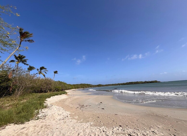 Picture 16 for Activity Sainte Anne - colorful hustle and bustle, wide beaches & sundowners 3