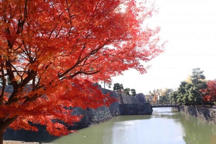A river with a stone wall on one side and a tree with red leaves in the foreground. 2
