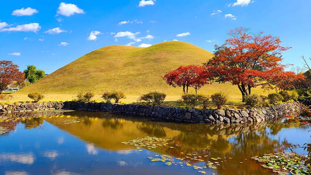 Picture 3 for Activity From Busan: Gyeongju Ancient Legacy Full Day Guided Tour 4