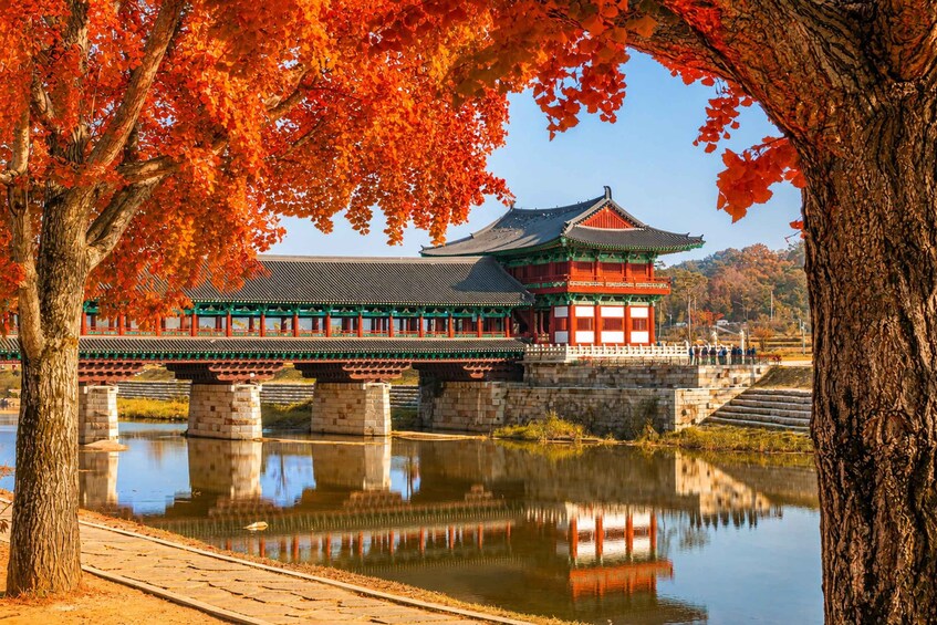Picture 4 for Activity From Busan: Gyeongju Ancient Legacy Full Day Guided Tour 2