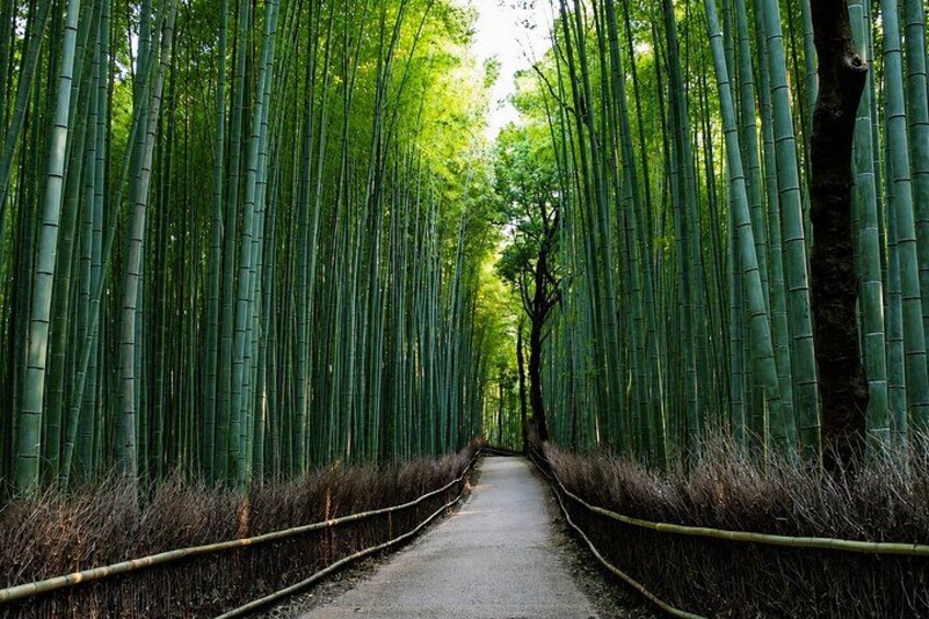 Kyoto Private Car Tour – Full Day with Local Guide & Nara Option 2