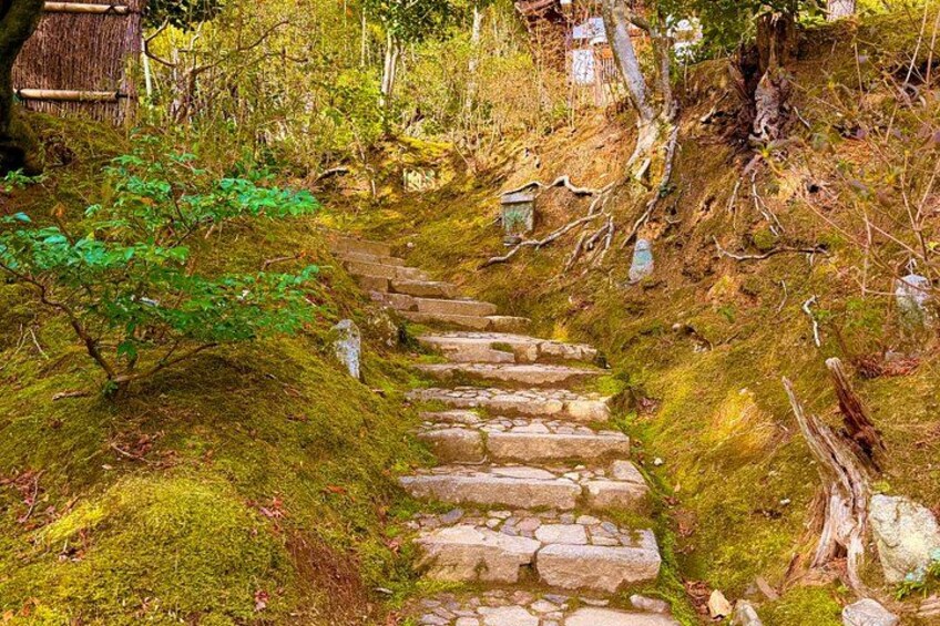 Arashiyama Beyond the Crowds: Bamboo Grove & Hidden Paths 3