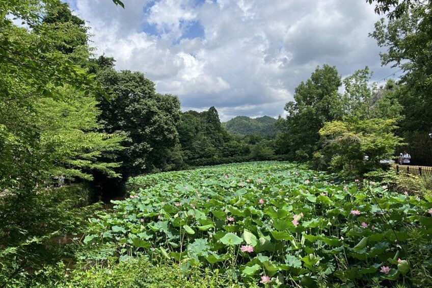 Arashiyama Beyond the Crowds: Bamboo Grove & Hidden Paths 5