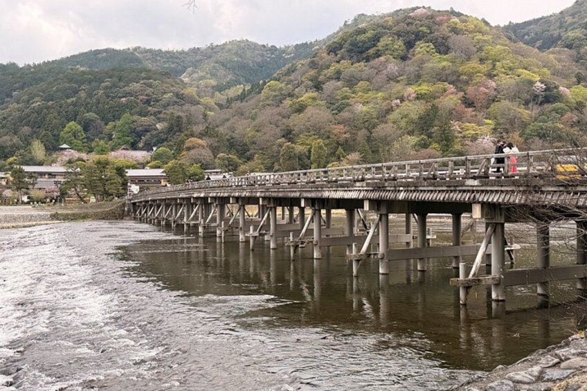 Arashiyama Beyond the Crowds: Bamboo Grove & Hidden Paths 2