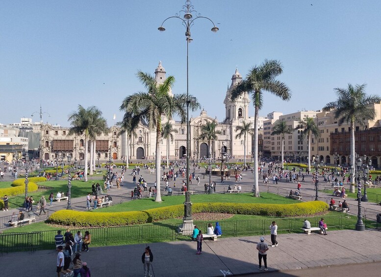 A bustling public square with palm trees, a fountain, and historic buildings in the background. 4