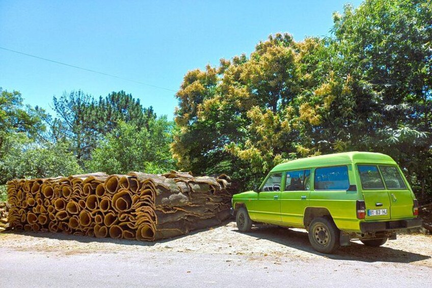 Half Day Mountain Jeep Safari with Firewater Tasting 1