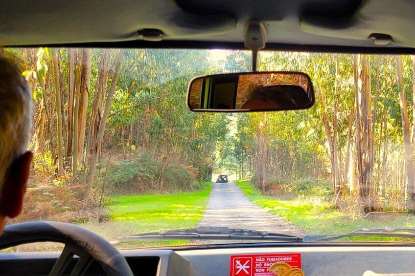 Half Day Mountain Jeep Safari with Firewater Tasting 3