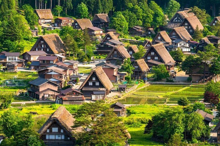 Hida Takayama Shirakawa go and Old Town Day Tour From Nagoya 5