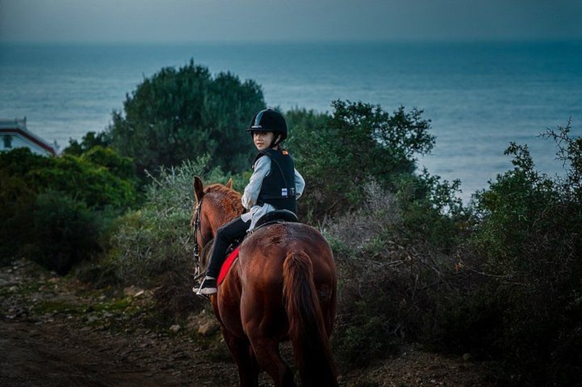 En person rider på en hest langs en kyststi med vegetation og havet i baggrunden. 5