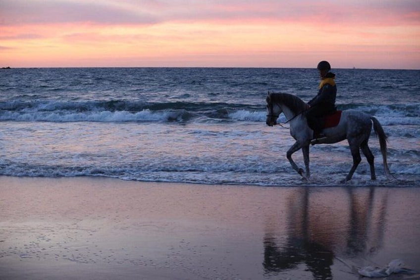 En person rider på en hest langs en strand ved solnedgang. 4